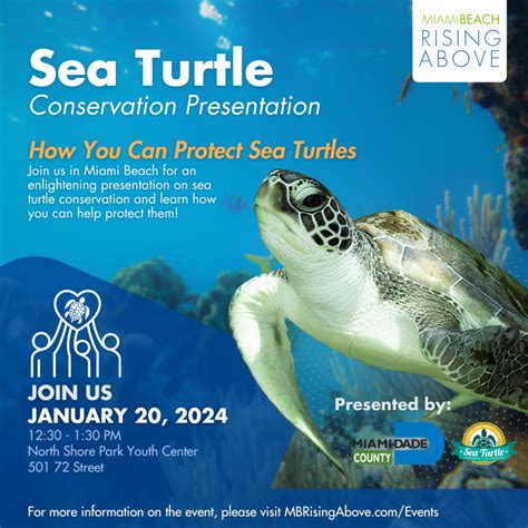 organizations that help sea turtles|Sea Turtle Conservation Program .